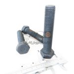 پیچ شش ضلعی HEXAGONAL HEAD SCREW M20X100 - Image 2
