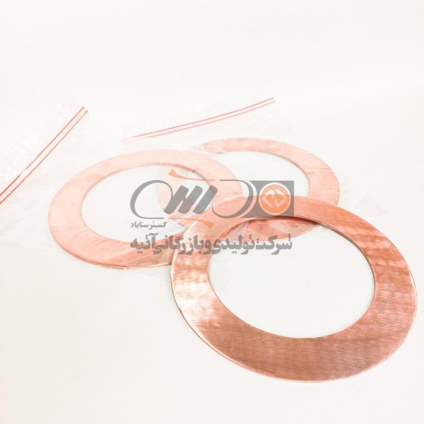 SEAL RING 168X115X2 - KKS MBH19BR001 - POS 41
