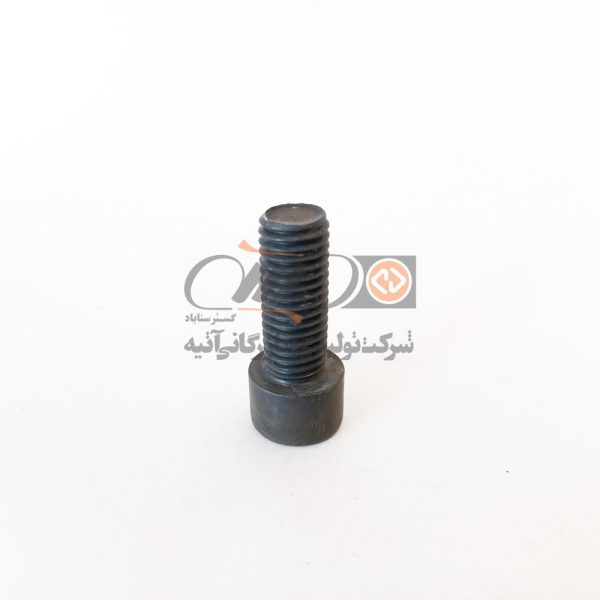 پیچ آلن سر استوانه SOCKET HEAD SCREW M12X30 - KKS MBD19HD011G - POS