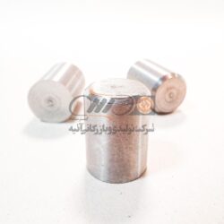 Parallel Pin D=12 L=16