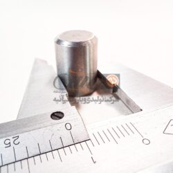 Parallel Pin D=12 L=16