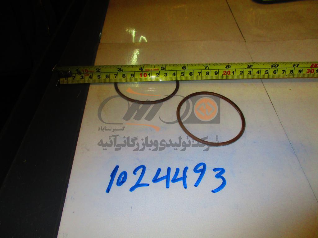 SEALING RING