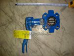 BUTTERFLY VALVE FOR GENERATOR JACKING