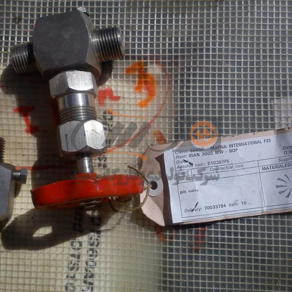 Pin Valve DN 1/2 S. 3000 316