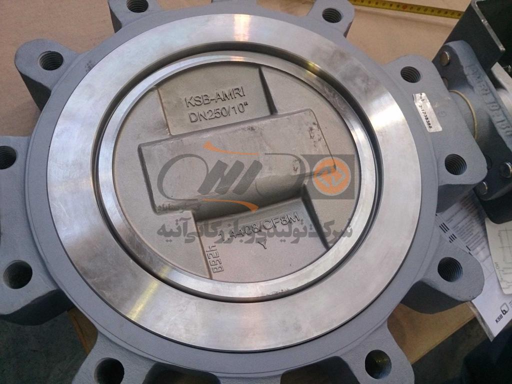 mini_DSC_0367 VALVE BUTTERFLY