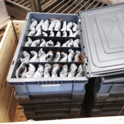 1st Stage Bucket for GE MS5001 - Image 4